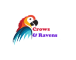 crowsandravenshome.com
