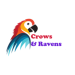 crowsandravenshome.com