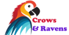 crowsandravenshome.com